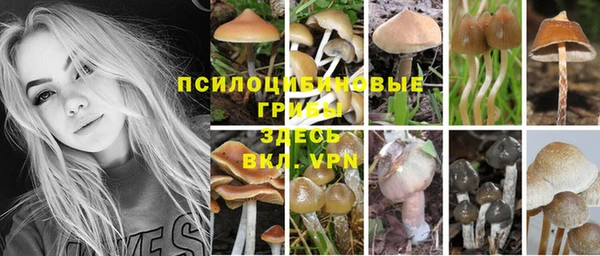 бутират Баксан