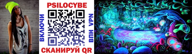 наркота  Озёры  Псилоцибиновые грибы Psilocybe 